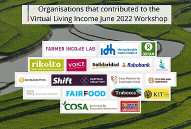 Organisations that contributed to the Virtual Living income June 2022 Workshop