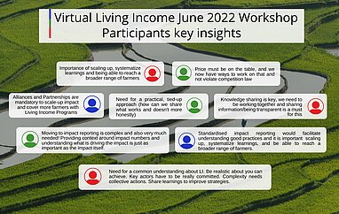 Virtual Living Income June 2022 Workshop Participants key insights